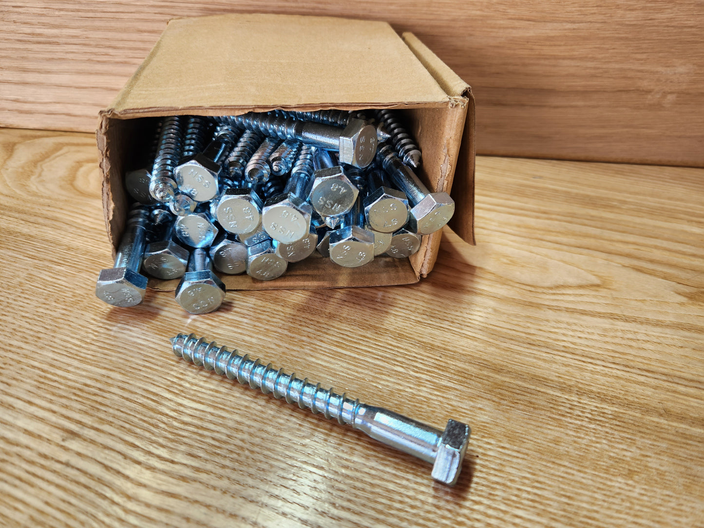 Coach Screw M10