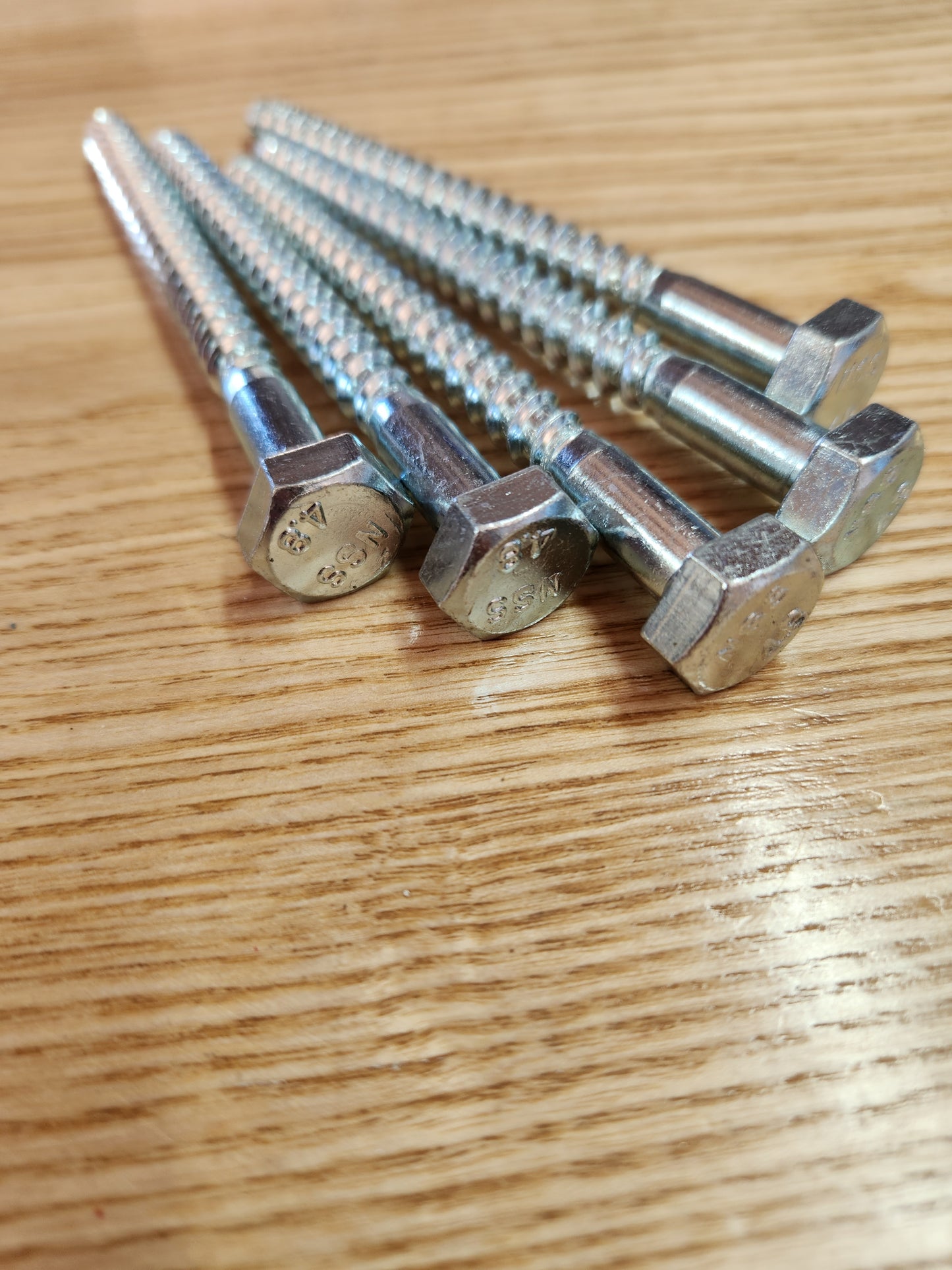 Coach Screw M10