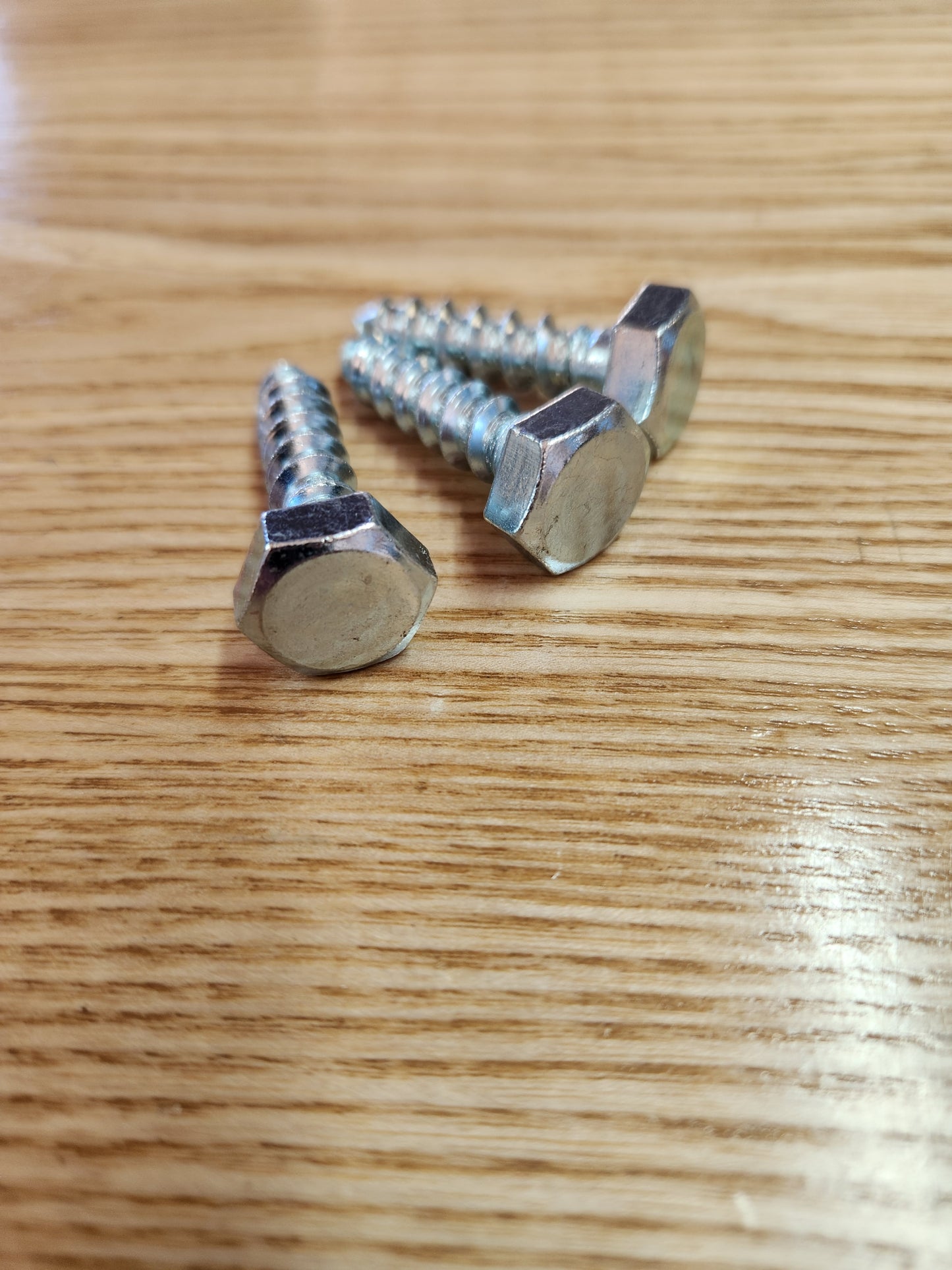 Coach Screw M10