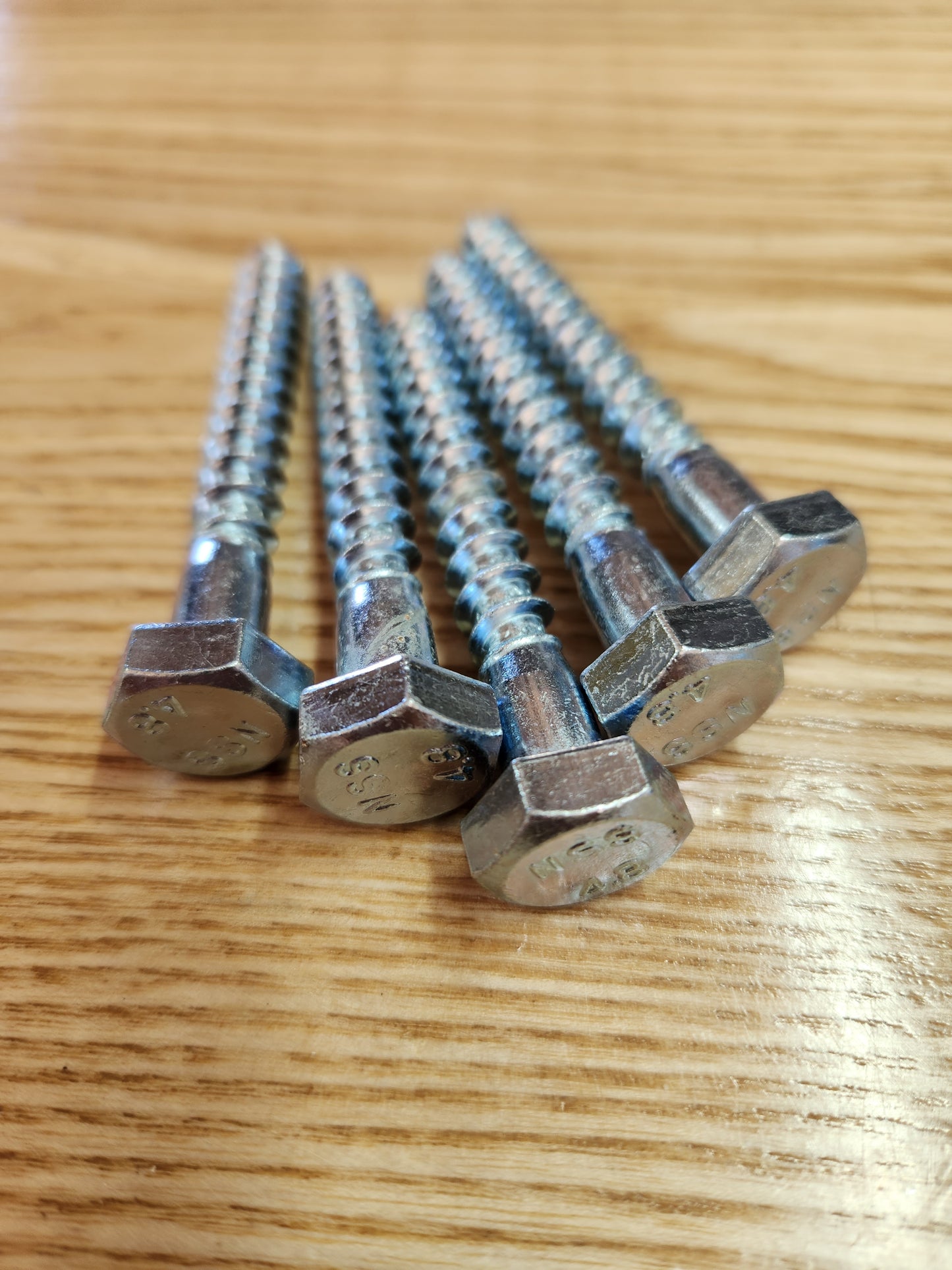 Coach Screw M10